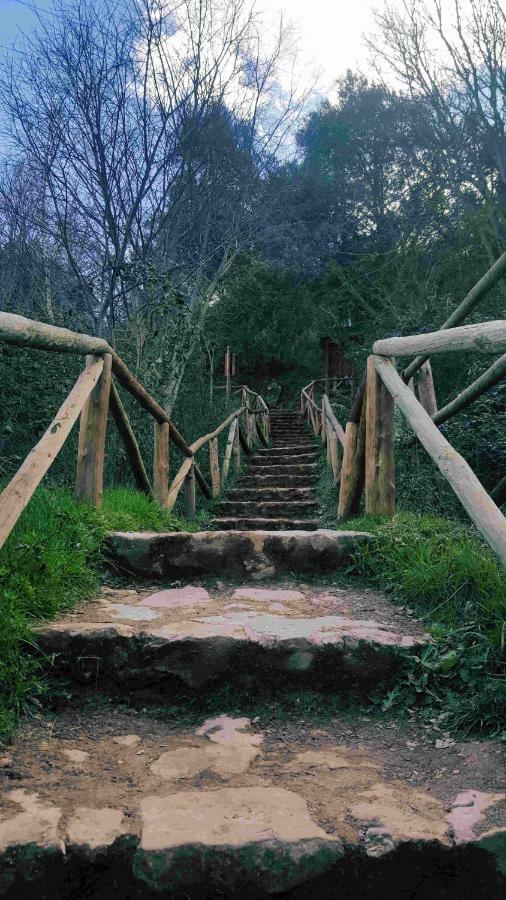 Casa Rural La Ossa Ossa de Montiel Exteriér fotografie